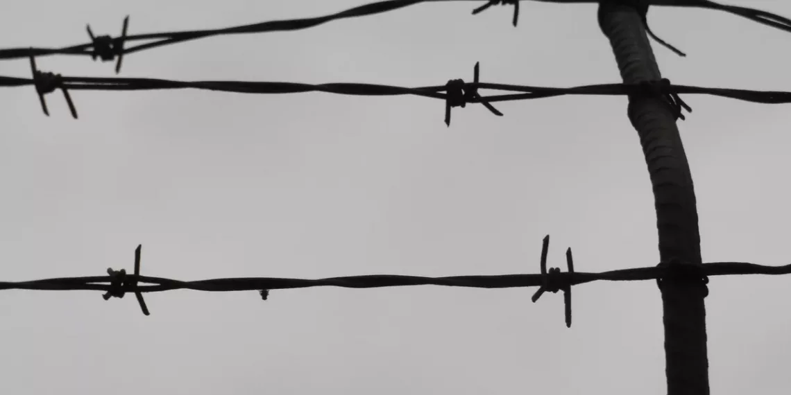 В колонию отправили ревнивую пенсионерку за убийство в Новосибирске