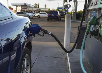 Слегка снизилась цена на бензин и дизельное топливо в Новосибирской области