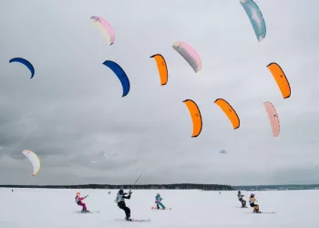 Новосибирскую школу парусного спорта обокрали на 700 тысяч рублей