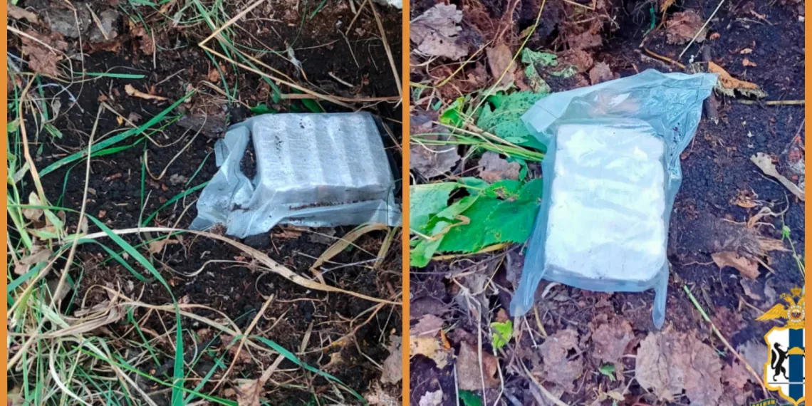 «Червей копали»: рыбаков-наркодилеров поймали под Новосибирском