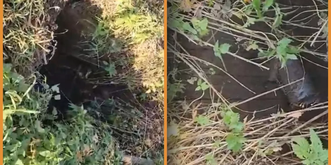 В посёлке Крупской 8-летняя девочка провалилась в сливную яму