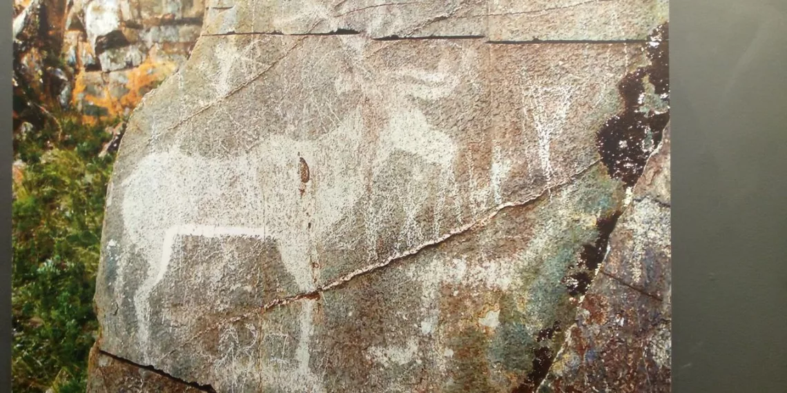 История, высеченная в камне: выставка наскальных рисунков открылась в Новосибирске