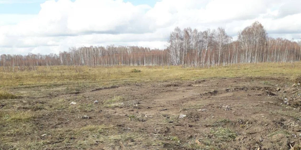 Ликвидирована несанкционированная свалка в Северном районе Новосибирской области