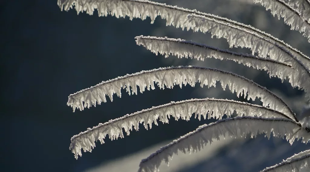В Новосибирске в следующем месяце температура опустится до -34 градусов