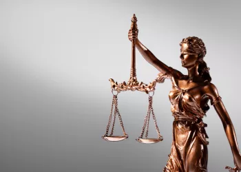 Глава Бердского муниципального учреждения пойдет под суд за падение дерева на женщину