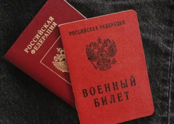 Новый вид выплат для участников СВО разработан в Новосибирской области