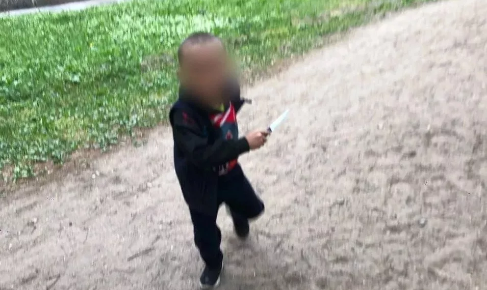 Глава СК заинтересовался ситуацией с детьми-мигрантами, угрожающими новосибирским школьникам ножами