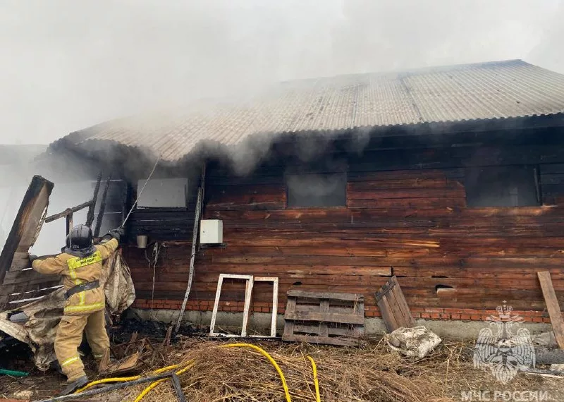 Сгорел конный клуб под Новосибирском