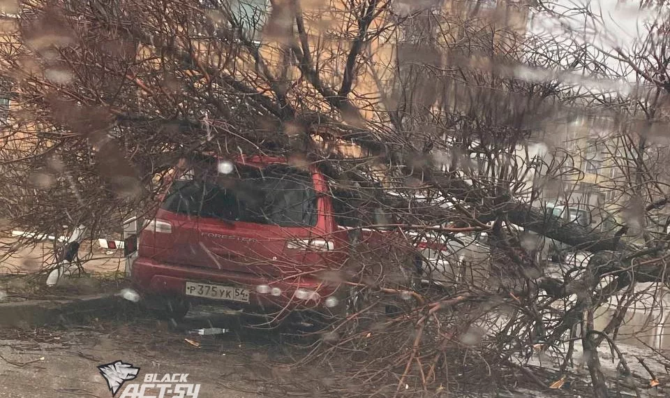 «Обошлись минимально» — Анатолий Локоть о последствиях урагана в Новосибирске