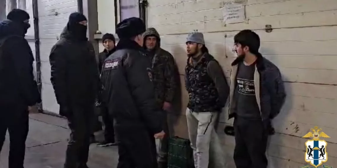 В Новосибирской области выявили 308 правонарушений в сфере миграции