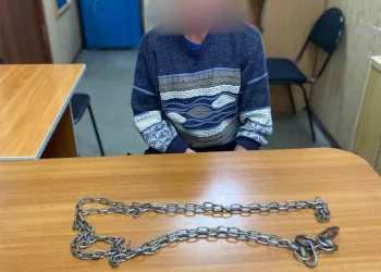 Новосибирец приковал знакомого на цепь в погребе, чтобы оформить на него ИП