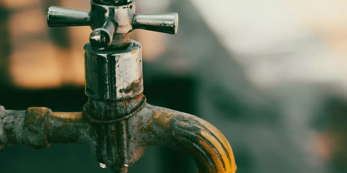 Полтора года жильцы села под Новосибирском пьют болотную воду