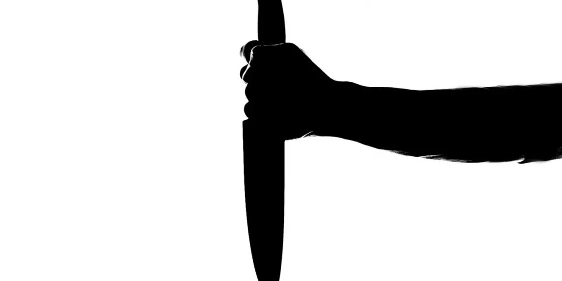 Новосибирец пырнул ножом соседа и упал с лестницы