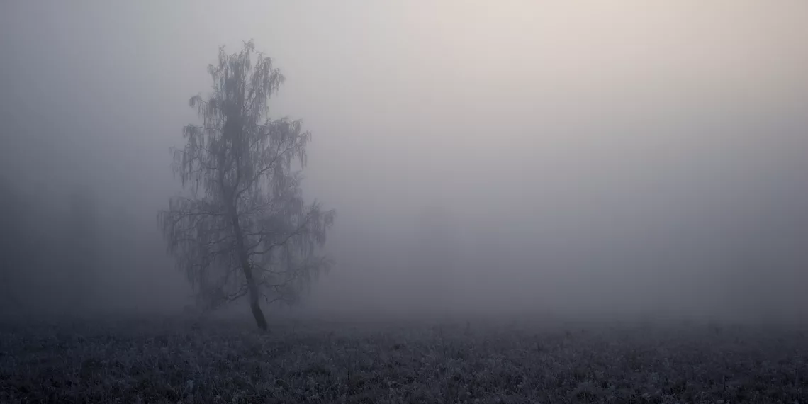 Снег и мощные порывы ветра идут в Новосибирск