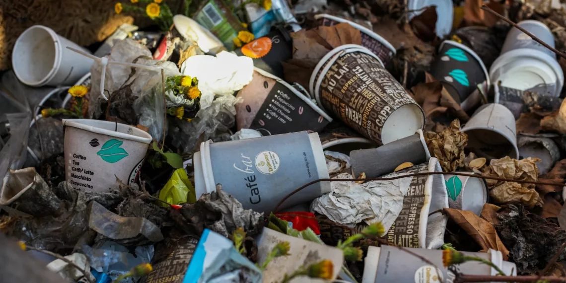 Власти построят мусорный полигон в помощь «задыхающемуся» Гусинобродскому