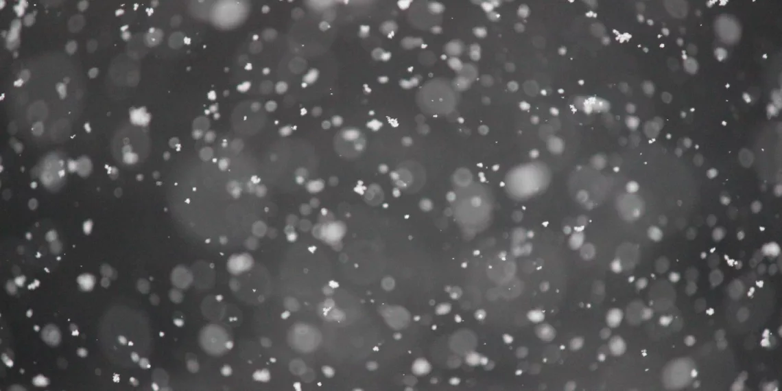 Снег и холода вернутся в Новосибирскую область 19 ноября