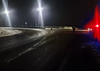 Под Новосибирском водитель Лады врезался в дерево — пассажир авто скончался на месте