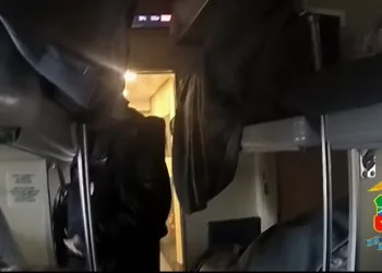 Новосибирца закроют на пять суток за пьяный дебош в поезде