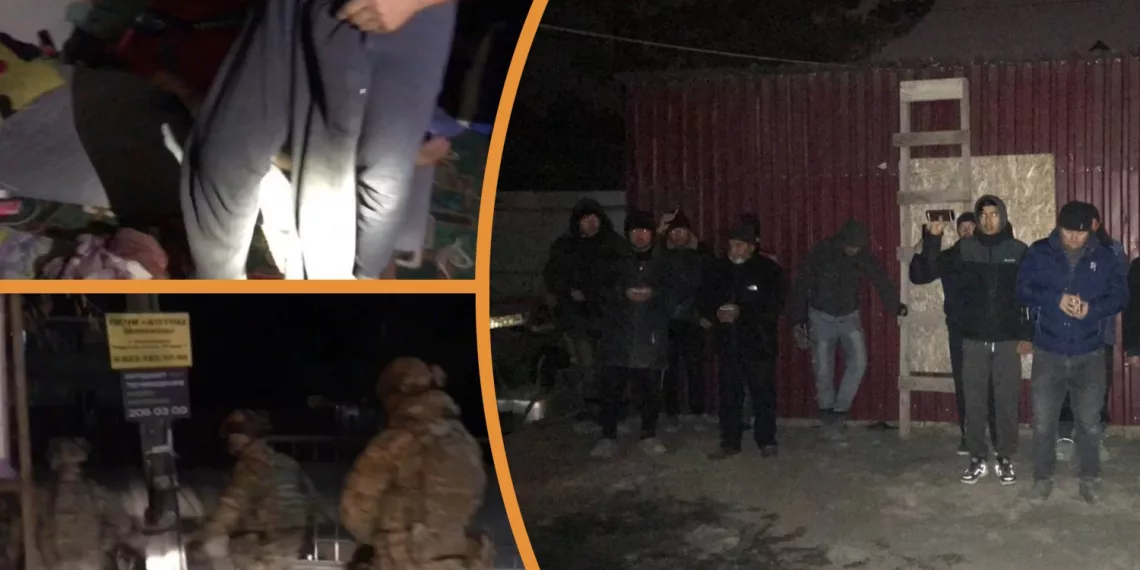 Жители Новосибирской области организовали незаконное пребывание мигрантов