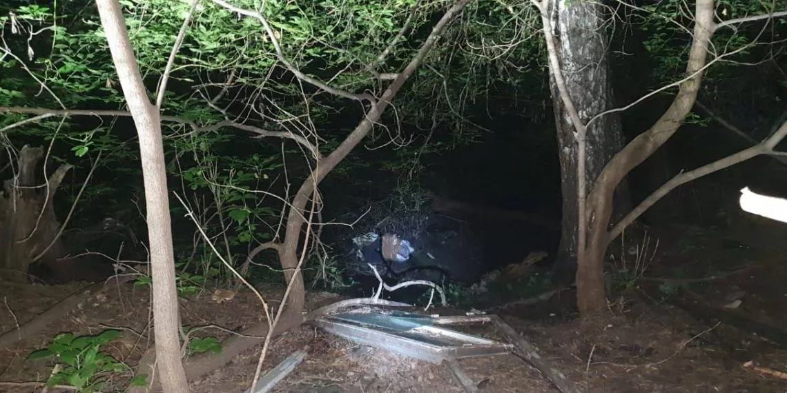 Утвердили обвинения новосибирцу, спрятавшему тело сожительницы в парке