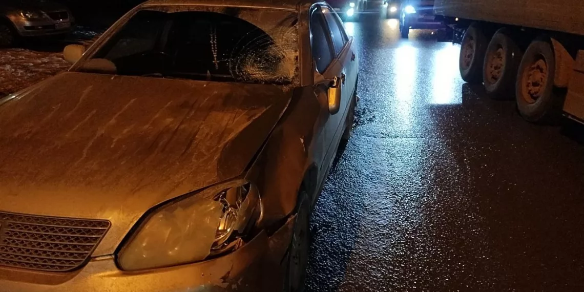 Пенсионерка лишилась жизни под колесами Toyota в Новосибирске