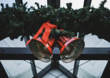 В Центральном парке Новосибирска установят световой потолок к Новому году