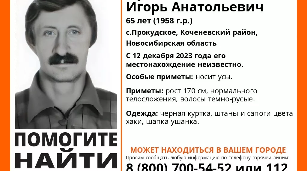 Под Новосибирском пропал 65-летний житель села Прокудское