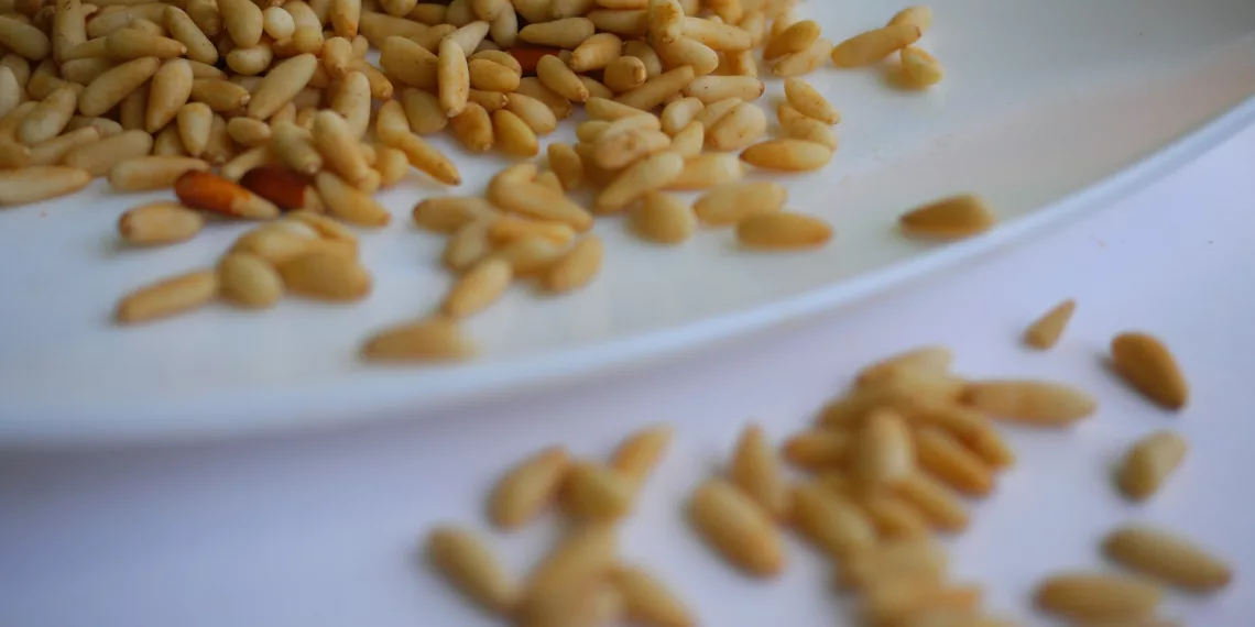 Китай получил почти три тысячи тонн кедровых орехов от Новосибирска