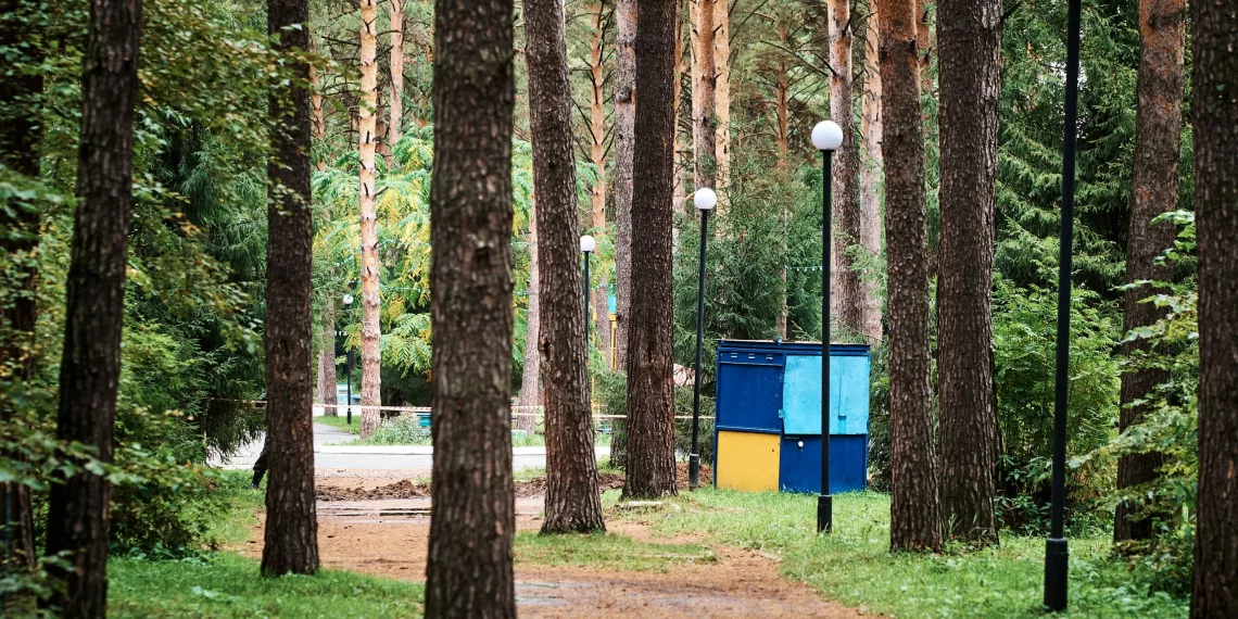 В Новосибирске определили подрядчика на разработку концепции для Соснового бора