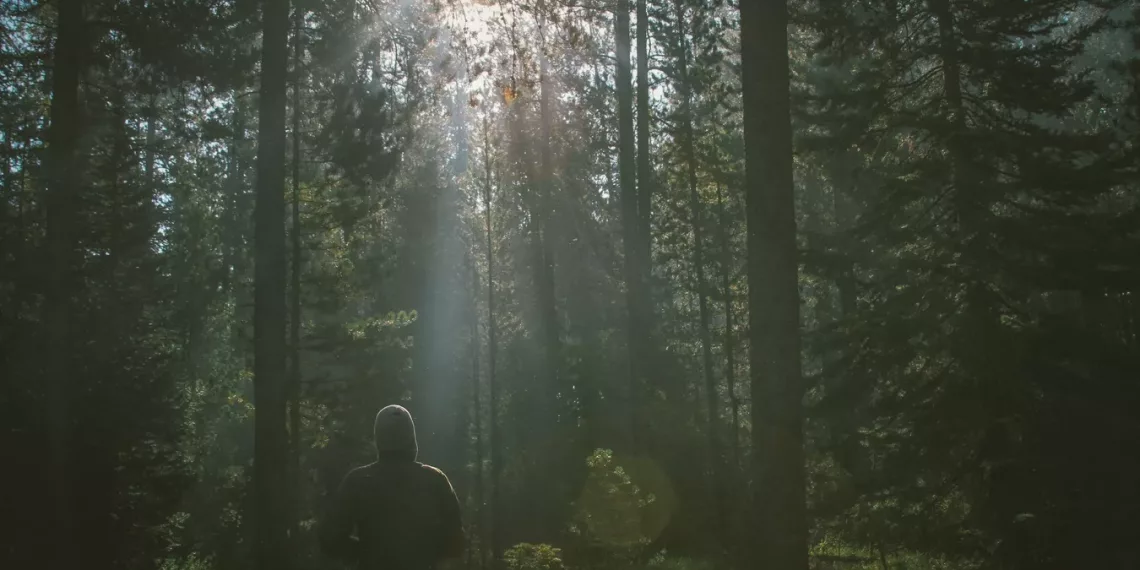 В заказнике «Кирзинский» запустят новый туристический маршрут в 2024 году