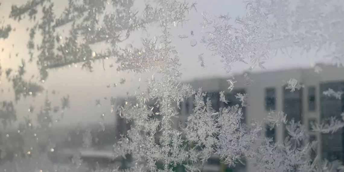 В ближайшие дни в Новосибирской области сохранится аномально холодная погода