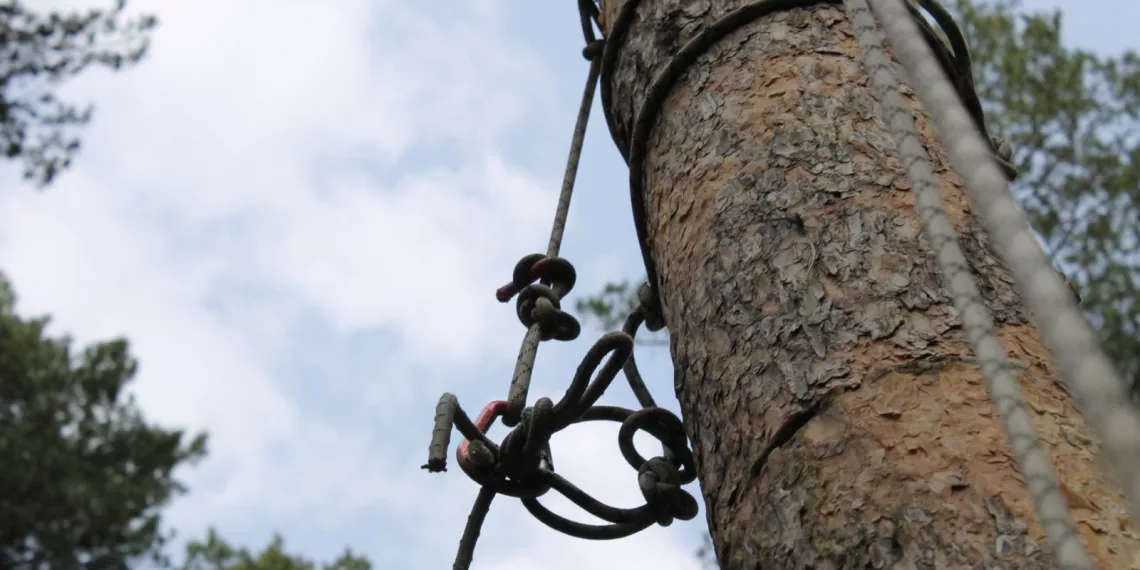 Директор спортивно-развлекательного парка отделалась штрафом после травмы ребенка на скалодроме