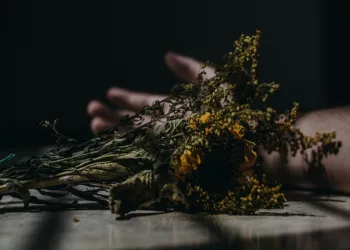 Труп 87-летнего новосибирца нашли в запертой квартире