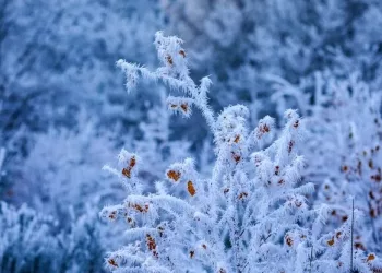 Штормовое предупреждение: в Новосибирской области ожидается усиление ветра — местами порывы до 30 м/с