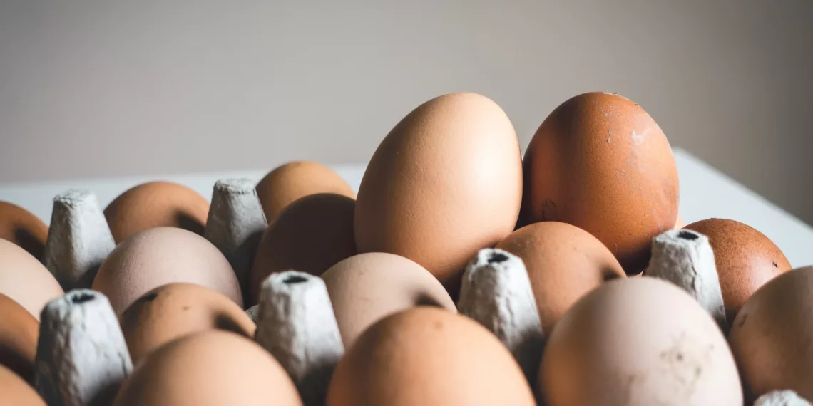 Яйца подорожали на четверть в Новосибирской области в декабре