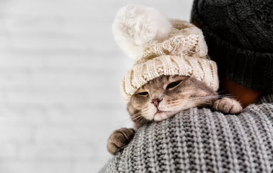 Резкое похолодание обещают в Новосибирске с 3 января