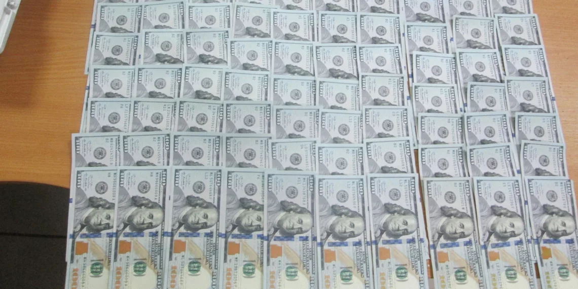 В новосибирском аэропорту лабрадор Юна унюхала 15 тысяч долларов в сумке пассажира