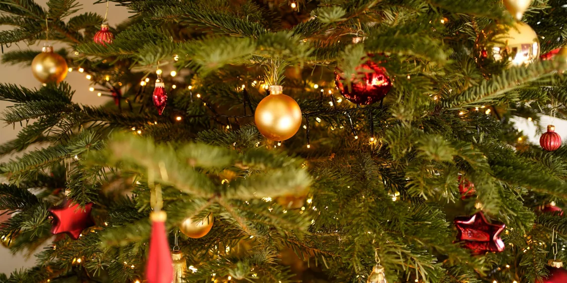 Мэрия Новосибирска предложила сдать неактуальные ёлки на пользу животным