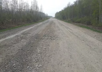 Дорогу между Новогутово и Новокозловское продолжат ремонтировать в 2024 году