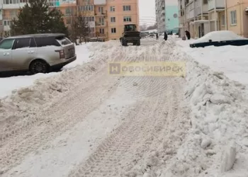 «За зиму ни разу не чистили»: новосибирцы сами убрали снег во дворе вместо управляющей компании
