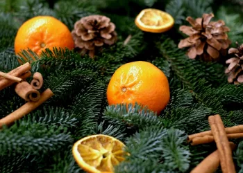 Россия стала мировым лидером по потреблению мандаринов