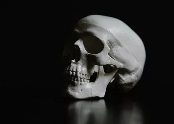 В Новосибирске за одни сутки нашли два трупа в запертых квартирах