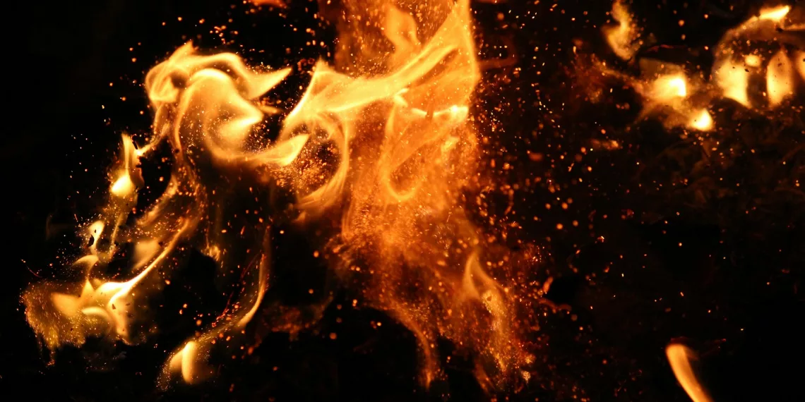 При пожарах скончалось почти 30 человек в Новосибирской области в 2024