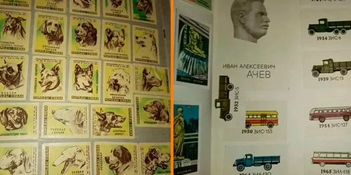 Объемную коллекцию спичечных этикеток продают в Новосибирске