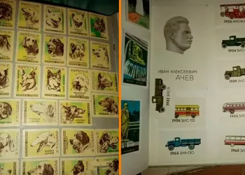 Объемную коллекцию спичечных этикеток продают в Новосибирске