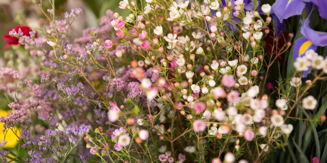 Ученые: активность насекомых опылителей снизилась из-за грязного воздуха