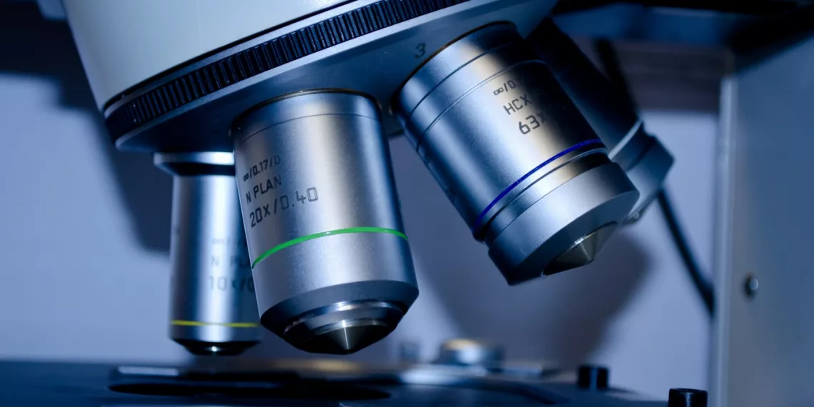 Сибирские ученые создали биопрепарат для очистки водоемов от пальмового масла