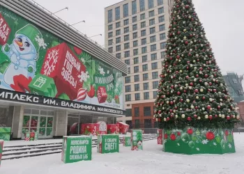 В Новосибирской области на 20% вырос турпоток в 2023 году