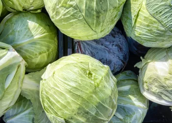 Капуста и огурцы подорожали в Новосибирской области