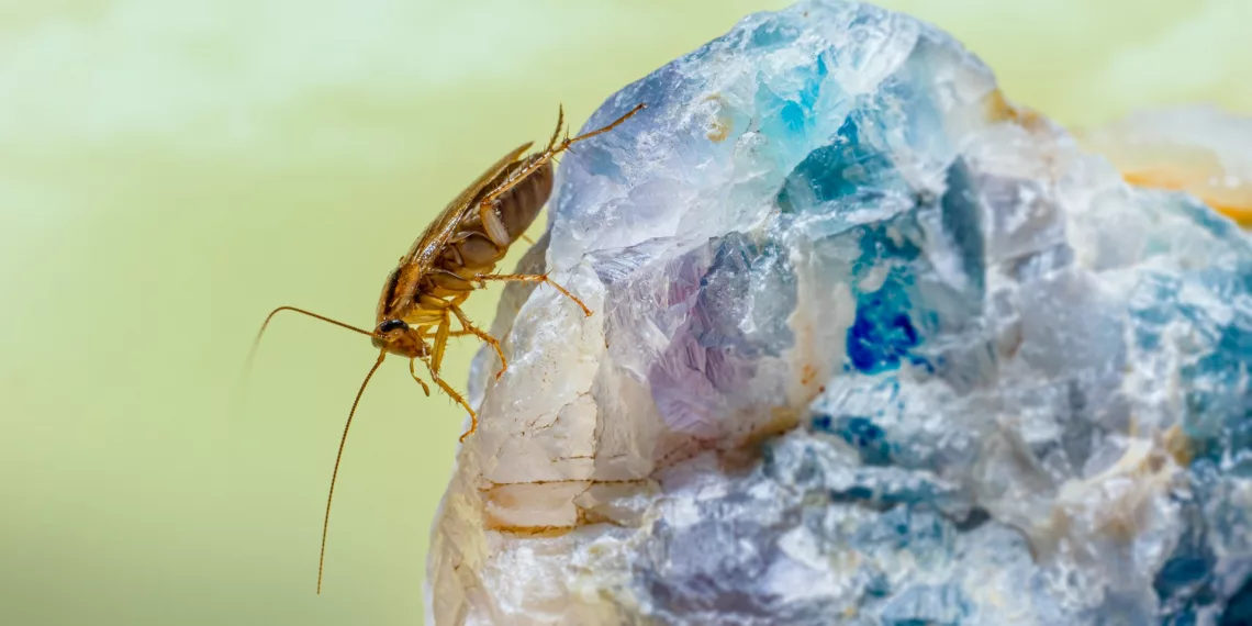 Не только тараканов: прокуратура займется отравлением учеников новосибирской школы